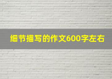 细节描写的作文600字左右