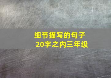 细节描写的句子20字之内三年级