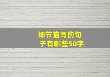 细节描写的句子有哪些50字