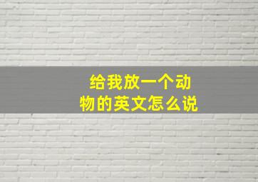 给我放一个动物的英文怎么说