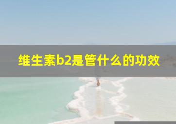 维生素b2是管什么的功效