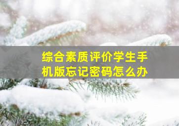 综合素质评价学生手机版忘记密码怎么办