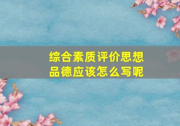 综合素质评价思想品德应该怎么写呢