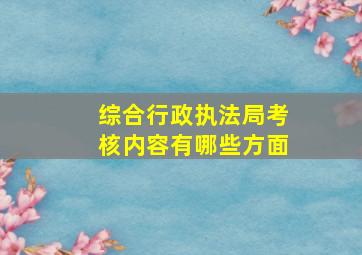 综合行政执法局考核内容有哪些方面