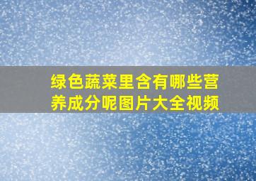 绿色蔬菜里含有哪些营养成分呢图片大全视频