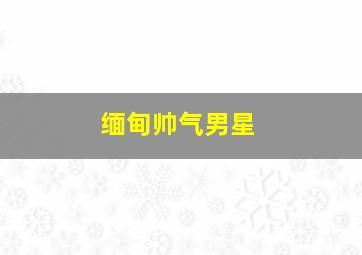 缅甸帅气男星