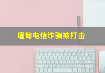 缅甸电信诈骗被打击