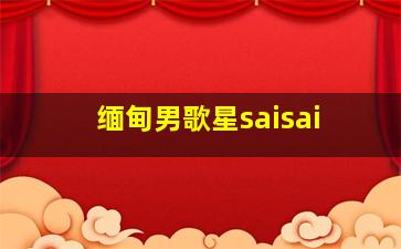 缅甸男歌星saisai