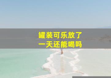 罐装可乐放了一天还能喝吗