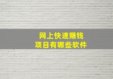 网上快速赚钱项目有哪些软件