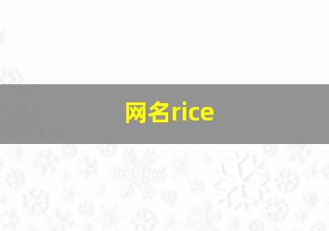 网名rice