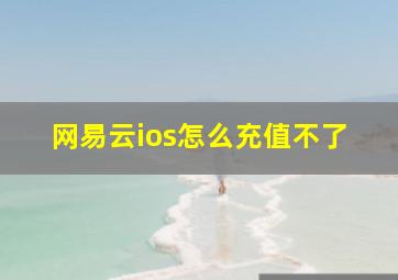 网易云ios怎么充值不了