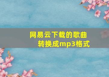 网易云下载的歌曲转换成mp3格式