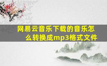 网易云音乐下载的音乐怎么转换成mp3格式文件