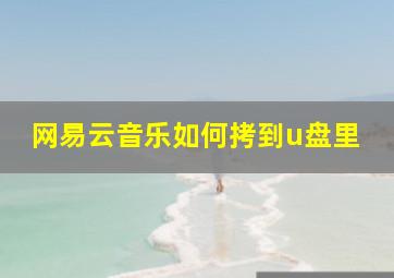 网易云音乐如何拷到u盘里