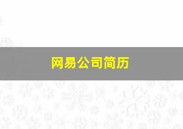 网易公司简历