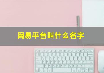 网易平台叫什么名字