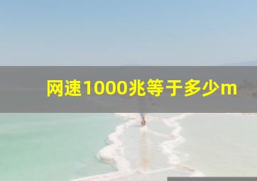 网速1000兆等于多少m