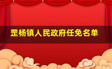 罡杨镇人民政府任免名单