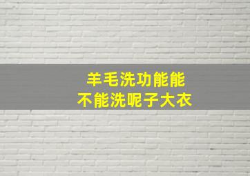 羊毛洗功能能不能洗呢子大衣