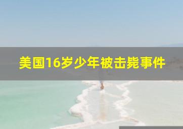 美国16岁少年被击毙事件