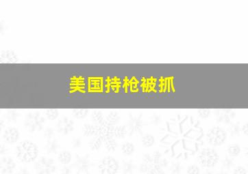 美国持枪被抓