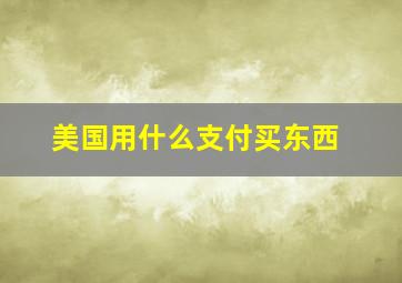 美国用什么支付买东西