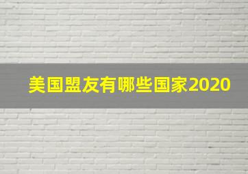 美国盟友有哪些国家2020