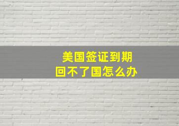 美国签证到期回不了国怎么办