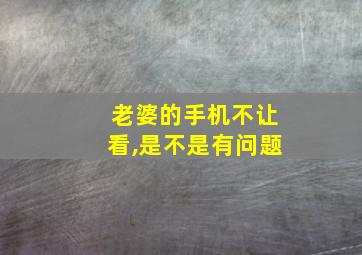 老婆的手机不让看,是不是有问题