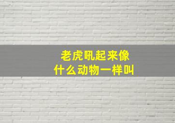 老虎吼起来像什么动物一样叫