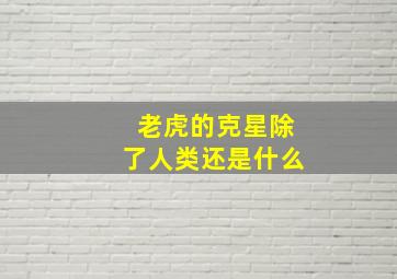 老虎的克星除了人类还是什么