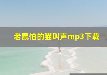 老鼠怕的猫叫声mp3下载