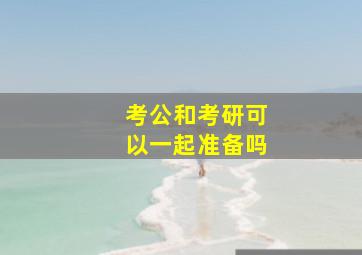 考公和考研可以一起准备吗