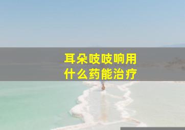 耳朵吱吱响用什么药能治疗