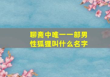 聊斋中唯一一部男性狐狸叫什么名字