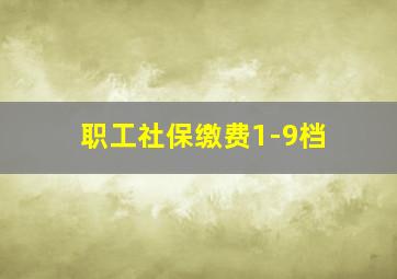 职工社保缴费1-9档