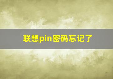 联想pin密码忘记了