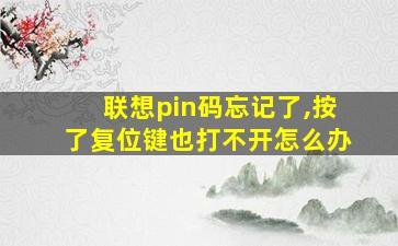 联想pin码忘记了,按了复位键也打不开怎么办