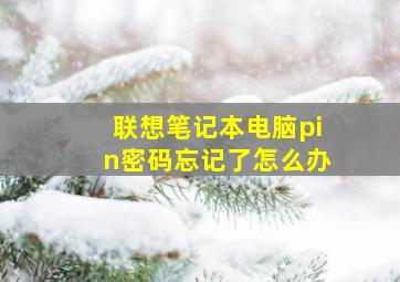 联想笔记本电脑pin密码忘记了怎么办