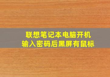 联想笔记本电脑开机输入密码后黑屏有鼠标