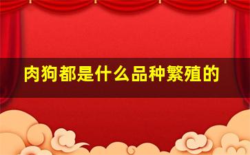 肉狗都是什么品种繁殖的