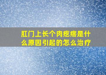 肛门上长个肉疙瘩是什么原因引起的怎么治疗