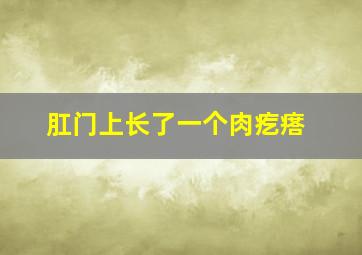 肛门上长了一个肉疙瘩