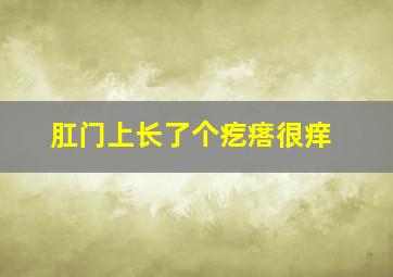 肛门上长了个疙瘩很痒