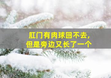 肛门有肉球回不去,但是旁边又长了一个