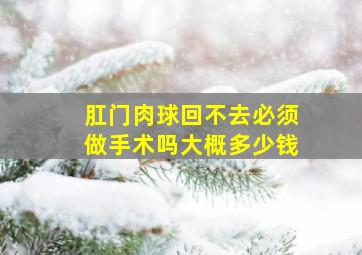 肛门肉球回不去必须做手术吗大概多少钱