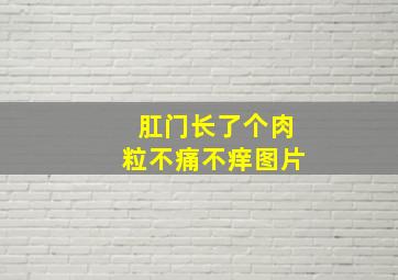 肛门长了个肉粒不痛不痒图片