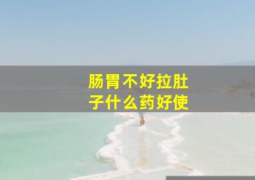 肠胃不好拉肚子什么药好使