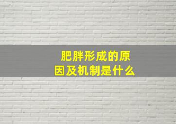 肥胖形成的原因及机制是什么